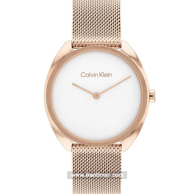قیمت و خرید ساعت مچی زنانه کالوین کلاین(CALVIN KLEIN) مدل 25200270 کلاسیک | اورجینال و اصلی