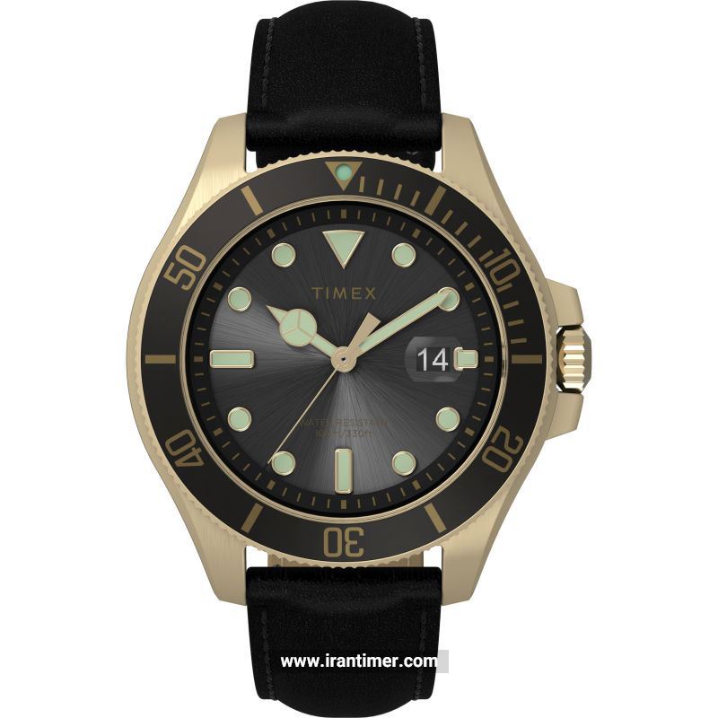 قیمت و خرید ساعت مچی مردانه تایمکس(TIMEX) مدل TW2V42200 کلاسیک | اورجینال و اصلی