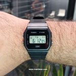 قیمت و خرید ساعت مچی مردانه زنانه کاسیو (CASIO) جنرال مدل F-91WB-1ADF اسپرت | اورجینال و اصلی - تصویر 4