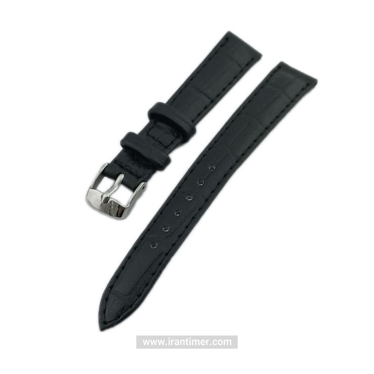 c5b614ae35d04acfad2e2b90cab8d311 لوازم جانبی پی جی مدل PG-14-CROCODILE-BLACK-LEATHER - تصویر 1