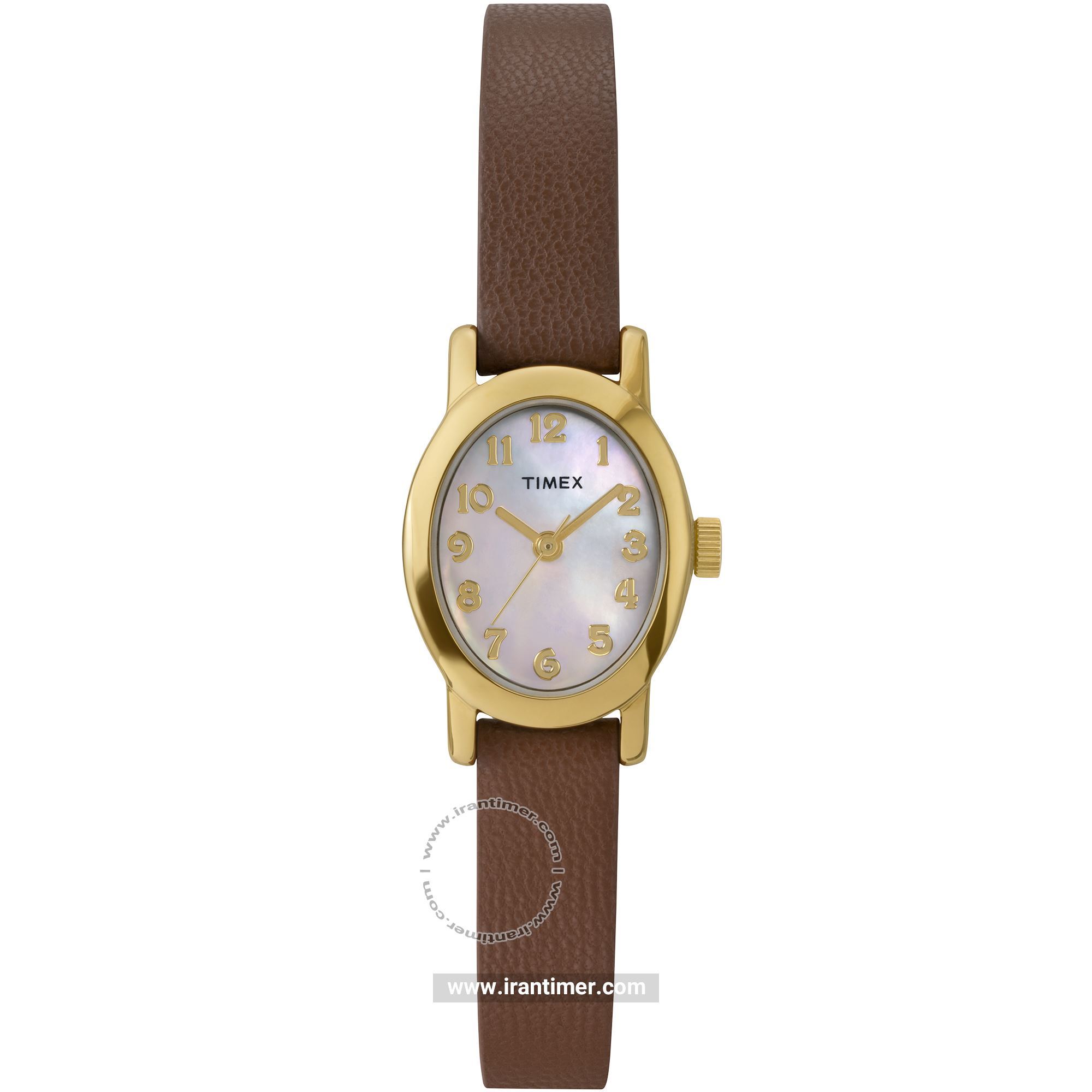قیمت و خرید ساعت مچی زنانه تایمکس(TIMEX) مدل TW2W82500 کلاسیک | اورجینال و اصلی