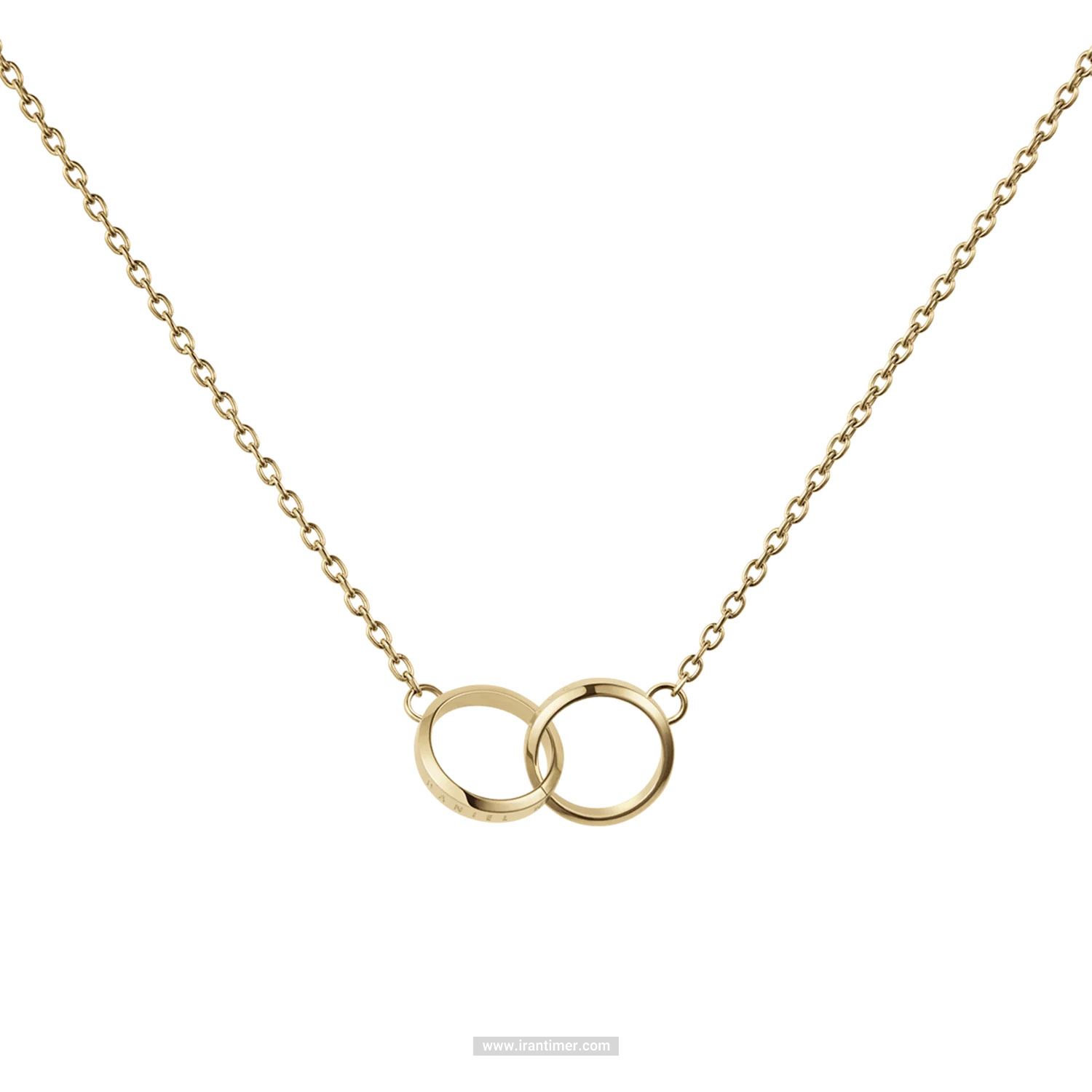 قیمت و خرید گردنبند زنانه دنیل ولینگتون(DANIEL WELLINGTON) مدل DW00400219 کلاسیک | اورجینال و اصلی